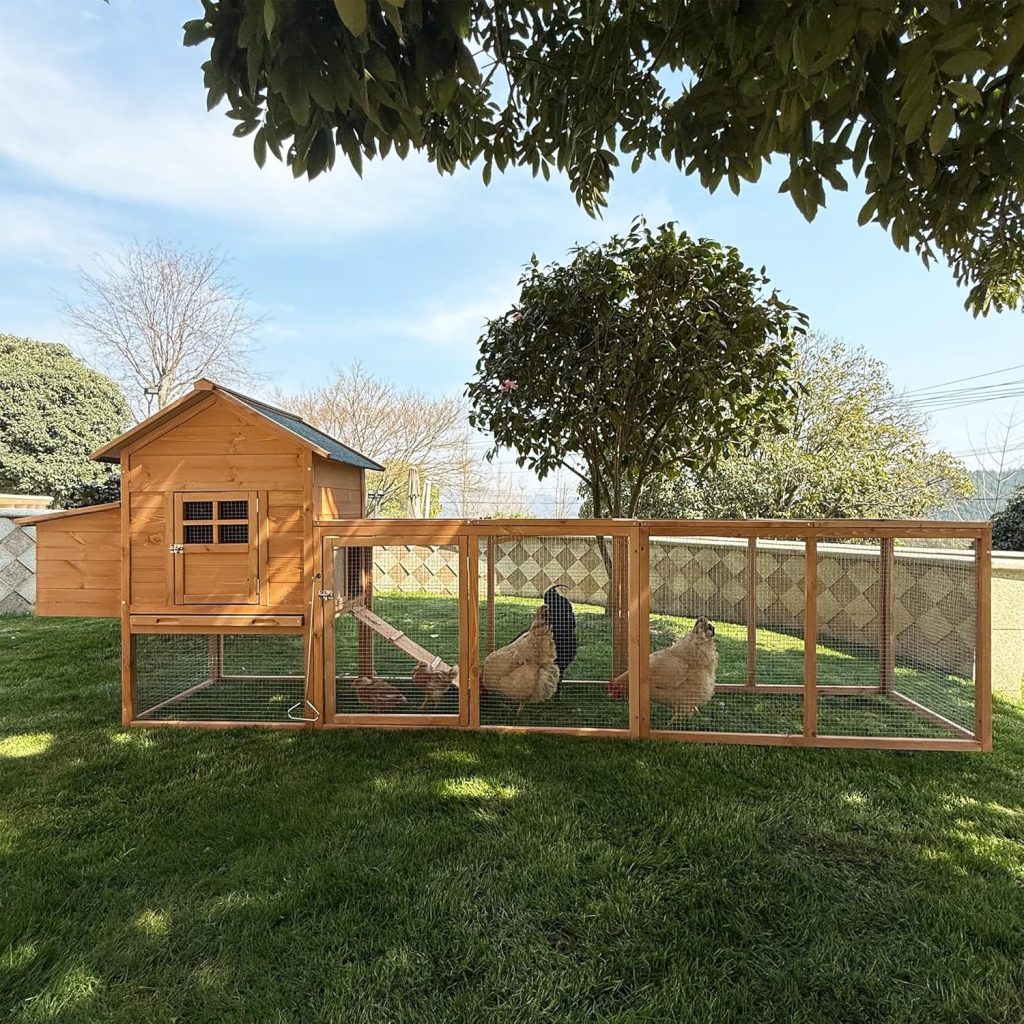 A spacious, multi-level chicken coop with an open, airy design. The coop features a tiered structure with multiple levels, allowing the birds ample living space and nesting areas. Warm, natural lighting floods the interior through large windows, creating a cozy and inviting atmosphere. The coop is constructed with a mix of wood and wire mesh, blending seamlessly into a lush, verdant backyard setting. Carefully positioned perches, feeders, and water troughs cater to the chickens' needs, while strategically placed nesting boxes offer privacy and comfort. The layout showcases an efficient use of vertical space, maximizing the available footprint for the coop. A sense of order and thoughtful planning is evident throughout the design, providing the chickens with a comfortable and enriched living environment.