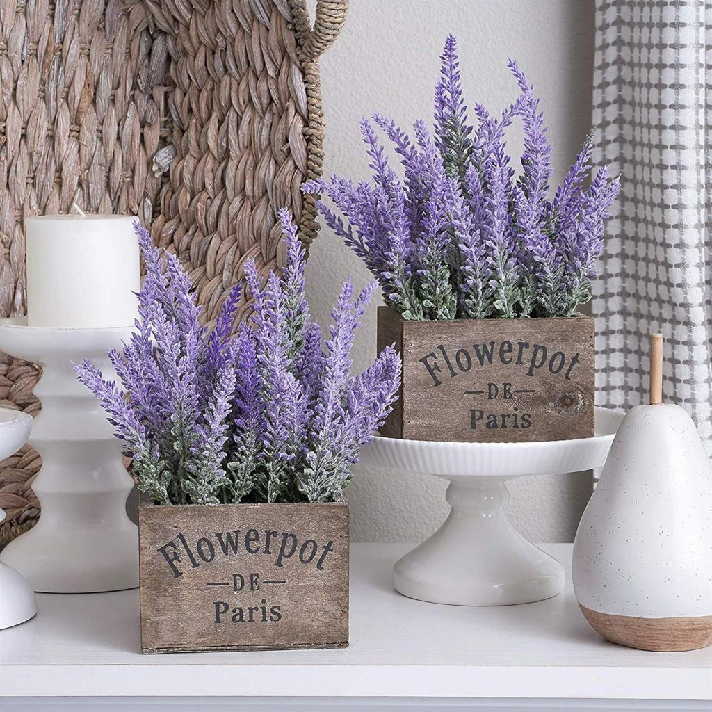 A lush, vibrant lavender plant stands tall, its delicate purple blooms swaying gently in the soft, warm breeze. The plant's leaves are a rich, verdant green, their surfaces glistening with a healthy sheen. Sunlight filters through the foliage, casting a golden glow that accentuates the plant's natural beauty. The scene is captured from a slightly elevated angle, allowing the viewer to appreciate the plant's full form and the way it interacts with its surroundings. The overall mood is serene and inviting, conveying the calming, insect-repelling properties of this versatile herb.